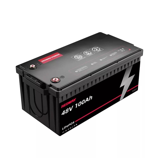 48V (51.2V) 100Ah Lithium Battery 8D